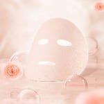 Camellia Facical Mask Sheet