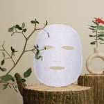 Snow Cell Facial Mask sheet