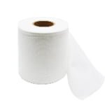 Viscose Spunlace Nonwoven Fabric Roll