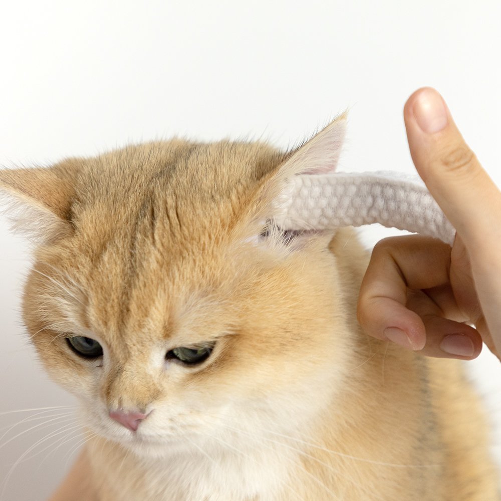 Disposable Pet Finger Sleeves