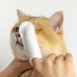 Disposable Pet Finger Sleeves