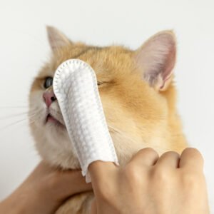 Disposable Pet Finger Sleeves